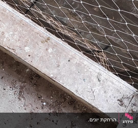 רשת מתכת מותקנת למניעת כניסת יונים